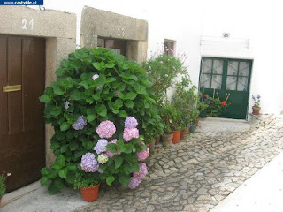 Rua da Costa de Castelo de Vide, Portugal (streets)