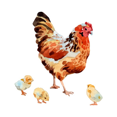 50+ Pencil sketch and Cartoon Images of Chicken