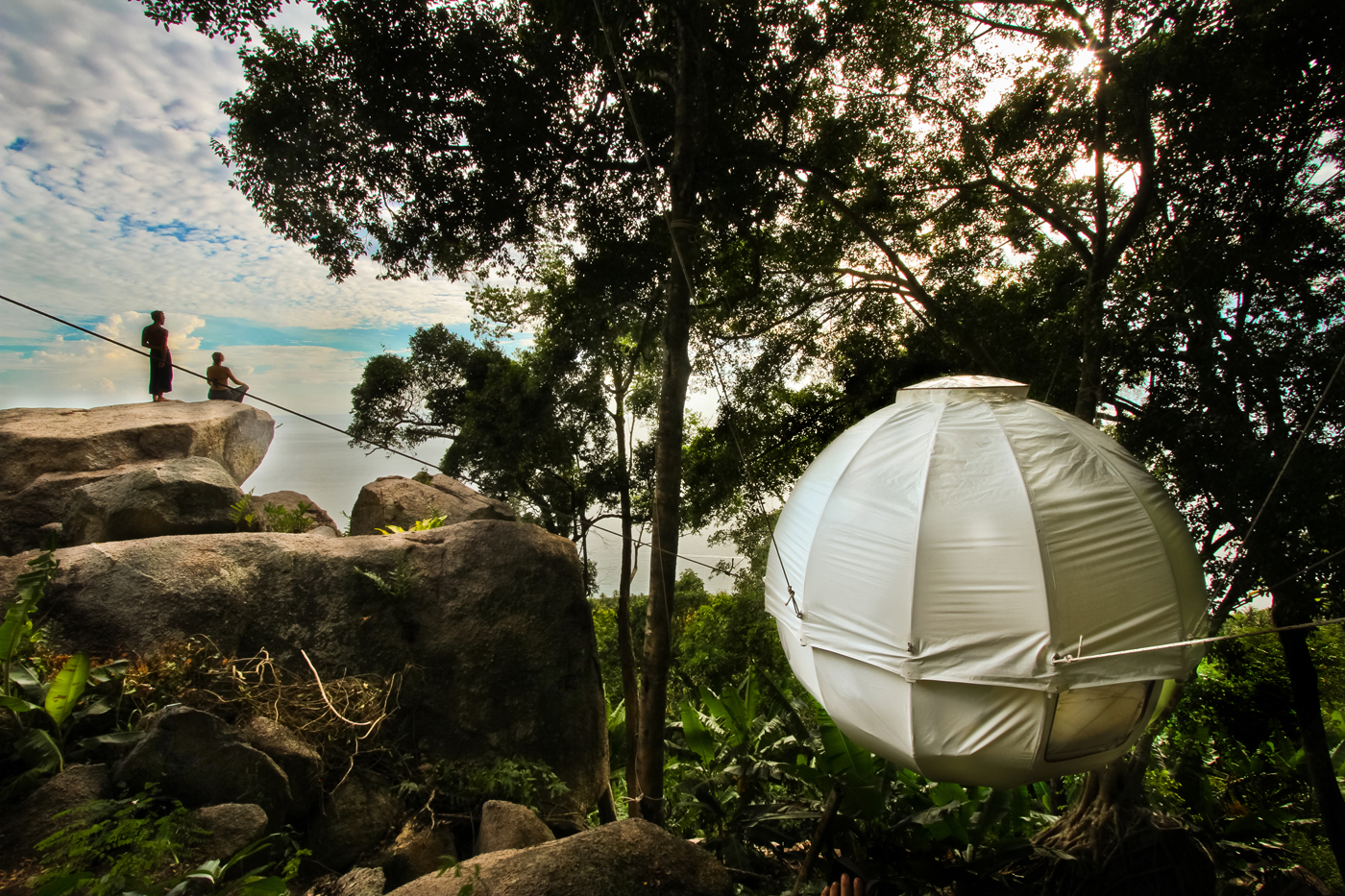 Cocoon Tree3.jpeg