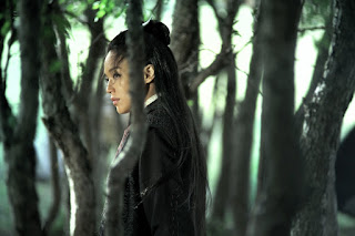 the assassin-nie yin niang-qi shu