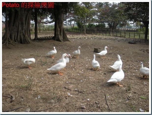 DSCN1064