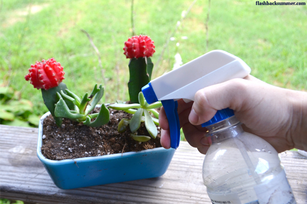 Flashback Summer: Vintage Pyrex Succulent Garden