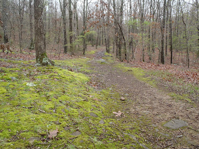 Finger Park Trail, Fayetteville, Arkansas. 