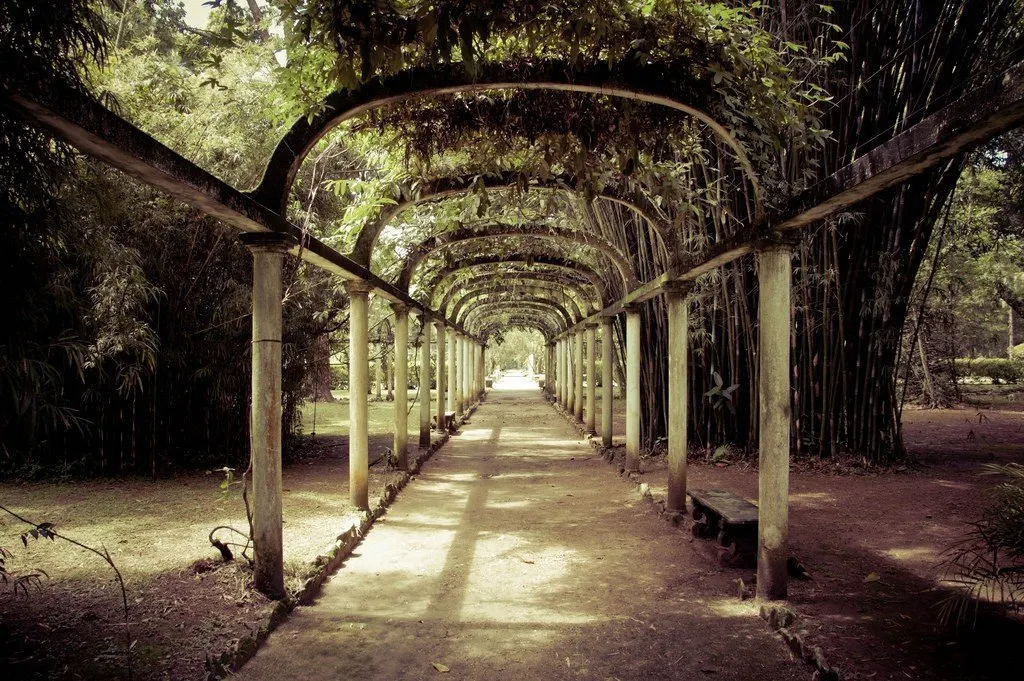 Rio de Janeiro Botanical Garden