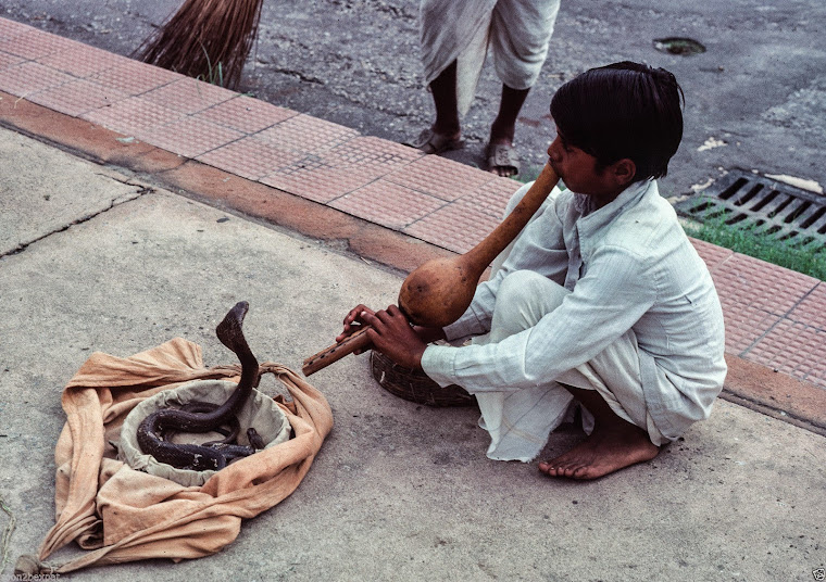 Indian Snake Charmer - 1977