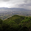 View album