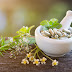 Navigating Success: Strategies For The Herbal Extract Market