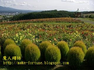 知識橋;休閒旅遊;北海道 魔人羯語