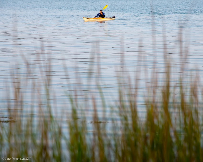 Portland, Maine USA September 2017 photo by Corey Templeton. a kayaker near the mouth of the Fore River (where it passes under Congress Street). 