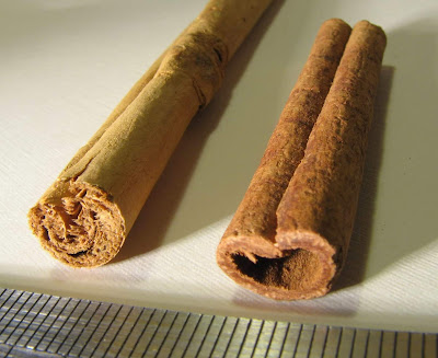 Health Benefits of Cinnamon