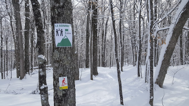 Au sommet du parc Nakkertok