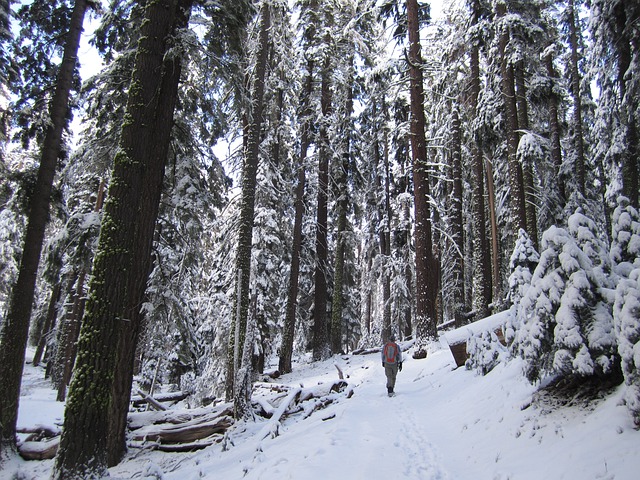 Randonnées pédestres hivernales en Estrie
