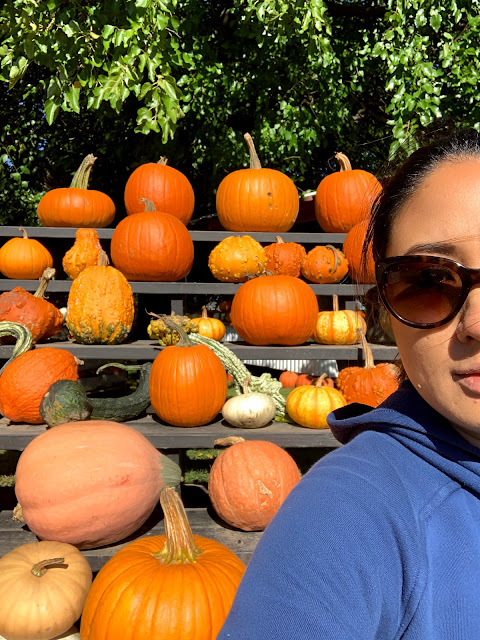 Ruple Farms goes to Hardy's Farm Market