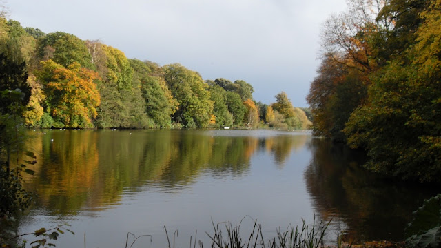 Autumn Color Water