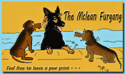The Mclean Furgang