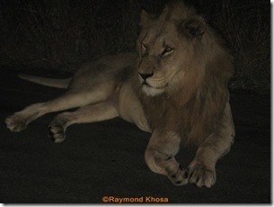 Africa 008