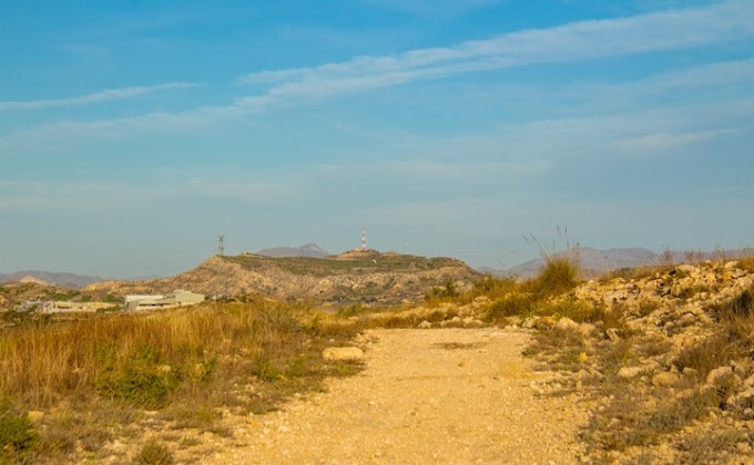 CONTIGO pide un proyecto de reforestación y servicios para la sierra ilicitana