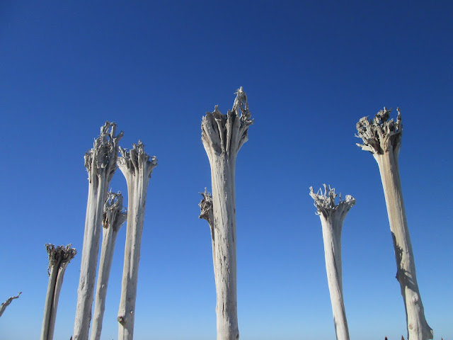 Lago Martianez, Puerto de la Cruz, Teneryfa