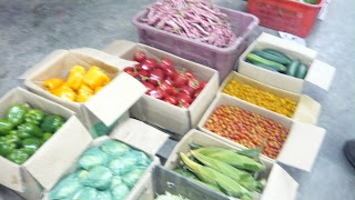 Collection of fresh peppers and vegetables