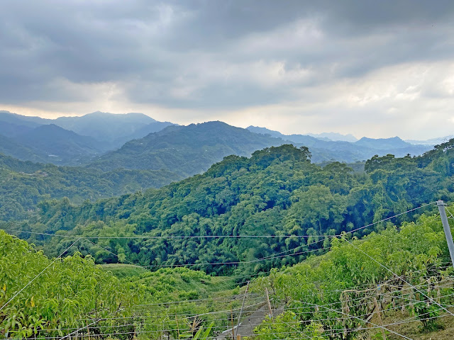 東中嵙山展望