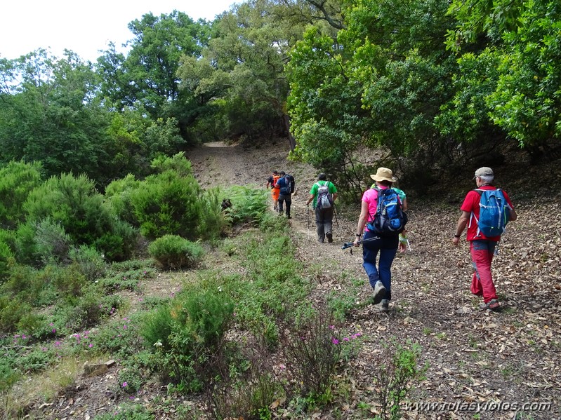 El Colmenar - Camino de los Arrieros - Puerto de los Peñones - Puerto de la Venta - Garganta de Los Charcones