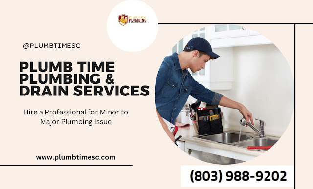 Hire a Professional for Minor to Major Plumbing Issue