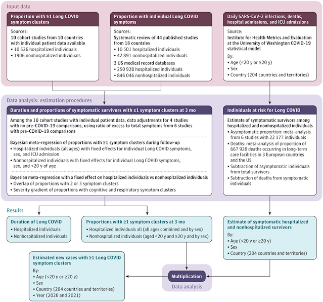 ícone de comentários COMENTÁRIOS Baixar PDF  Comente Início do artigo Pontos chave Abstrato Introdução Métodos Resultados Discussão Conclusões Informações do artigo Referências Figura 1. Fluxograma analítico do processo de estimativa para clusters longos de sintomas COVID Visualizar grandeDownload Fluxograma analítico do processo de estimativa para clusters longos de sintomas COVID UTI indica unidade de terapia intensiva. Os 3 grupos de sintomas Long COVID foram fadiga persistente com dor corporal ou alterações de humor; problemas cognitivos; ou problemas respiratórios em curso e foram autorrelatados 3 meses após a infecção por SARS-CoV-2 em 2020 e 2021.