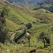 View album