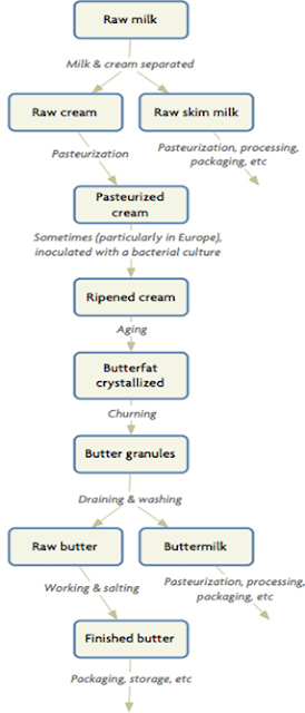 Figure 3: Butter making process [7]