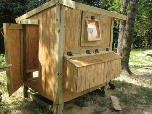 This coop has a large enough door to get in and clean the coop. But if ...