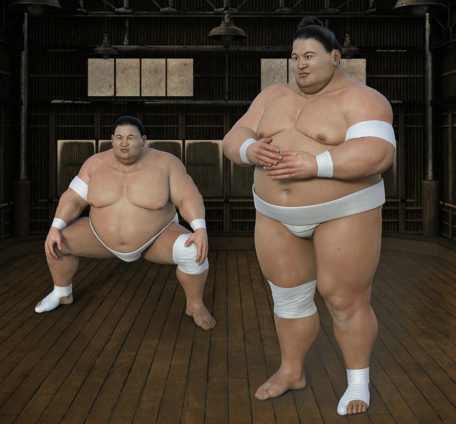sumo, wrestling sports, japan sports.