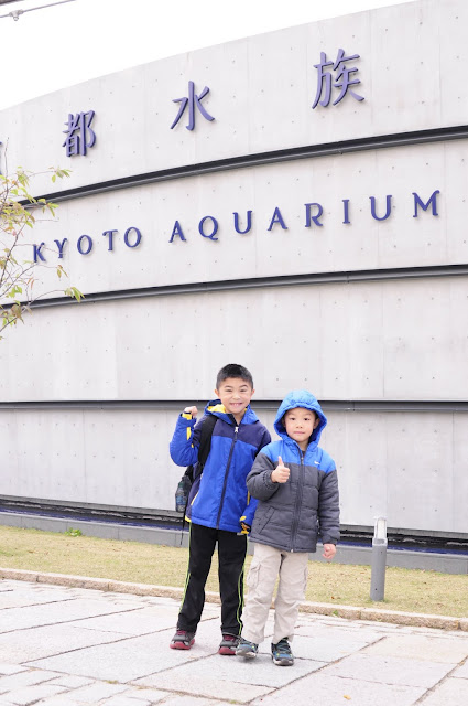  Kyoto travel with kids Kyoto Aquarium