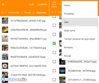Cara Menyimpan Story/Status di WhatsApp dengan Mudah dan Cepat
