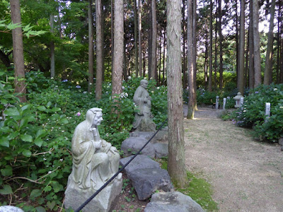 長尾の寺・正俊寺の紫陽花庭園