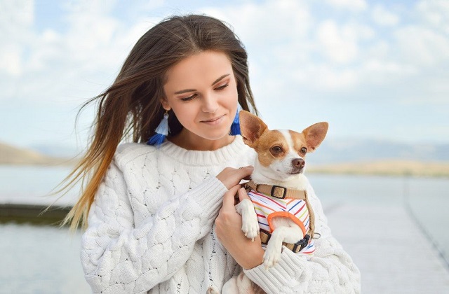 relationship status: happy with dogs