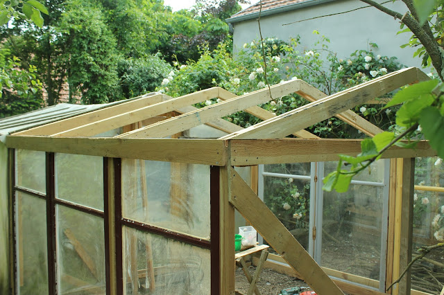 making a safe quail environment - roof construction