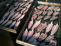 Drying fishes!