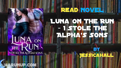 Read Novel Luna On The Run I Stole The Alpha's Sons by Jessicahall Full Episode