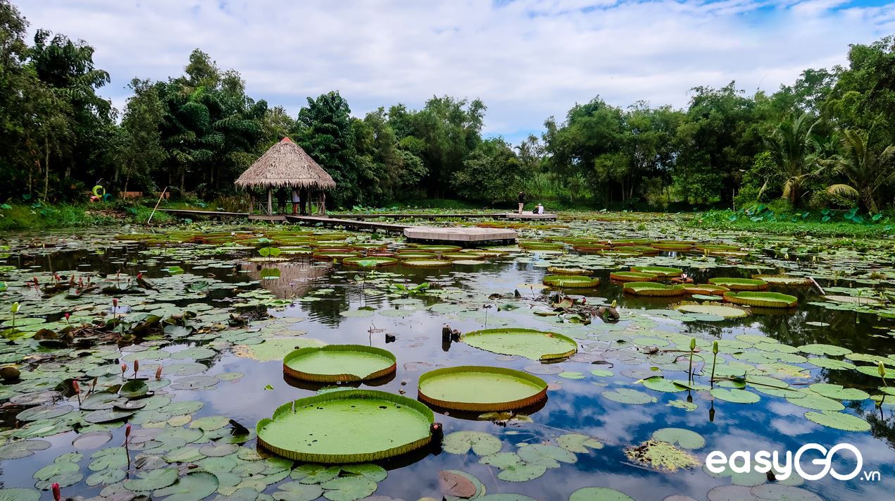 địa điểm du lịch Đồng Tháp