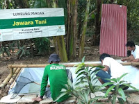 Jeda Musim Tanam kedua, Petani Binaan LPEM BAZNAS Beternak Lele