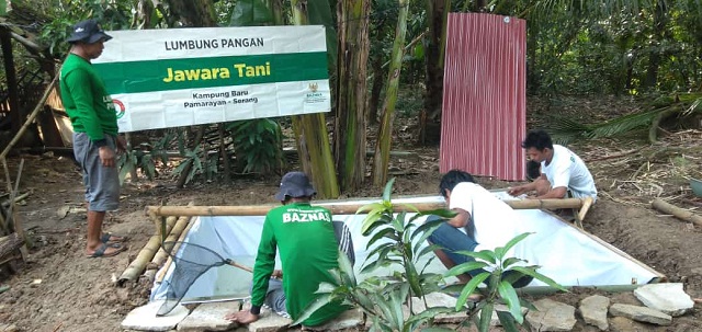 Jeda Musim Tanam kedua, Petani Binaan LPEM BAZNAS Beternak Lele