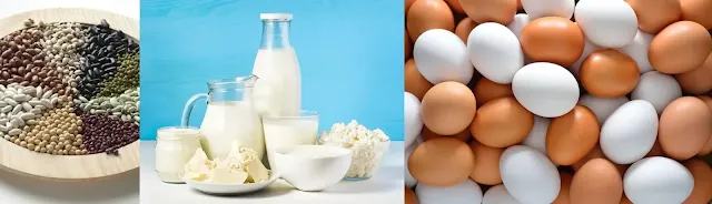 البروتين