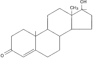 How to Increase Testosterone