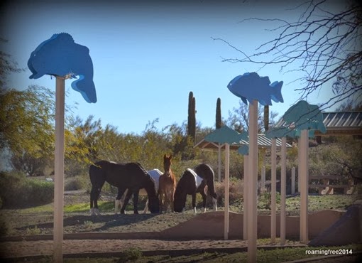 Visitors on the playground