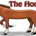 The Horse Essay In English 