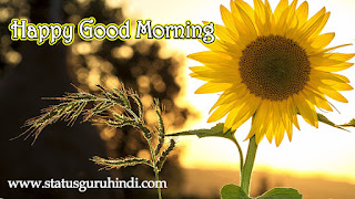 Good Morning Messages, Wishes and Quotes With Images : सुविचार से करें सुबह की शुरूआत |  Status Guru Hindi