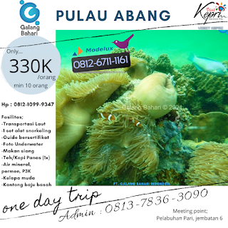 Pengalaman Snorkelling Pulau Abang dengan Wisata Galang Bahari Tour Travel 0812-6711-1161