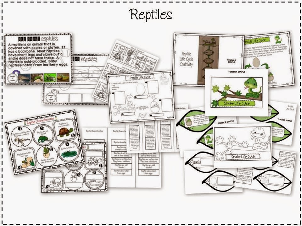 http://www.teacherspayteachers.com/Product/Growth-and-Changes-in-Animals-A-Primary-Science-Unit-1343663