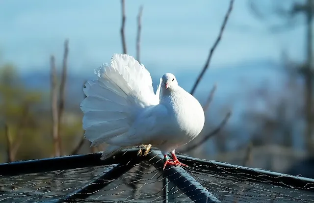 How we grieve the Holy Spirit