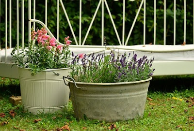 container garden